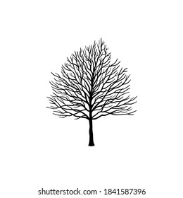 winter tree illustration black and white