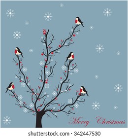 Winter tree with lovely birds