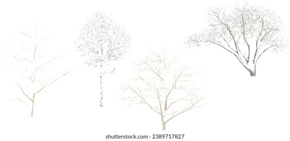 Winter tree on snow isolated in white background