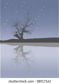 Winter tree reflections - vector