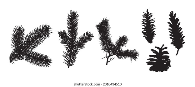 Winter Tree Set. New Year Branches. Christmas Decoration. Сoniferous Branches. Spruce, Coniferous, Pine Silhouette. Isolated on White Background. Vector Black Illustration. Forest and Park Elements. 