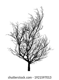 Silhouette de árbol de invierno. Elemento de diseño vectorial dibujado a mano aislado sobre fondo blanco.
