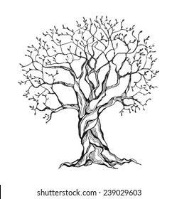 Winter Tree In A Stylized Style. Black And White Colors. Isolated On White Background. Vector Illustration.