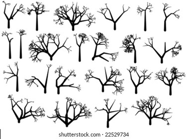Winter Tree Vector - Also available as a JPG --- Please see my another plants of my collection