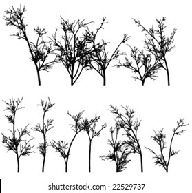 Winter Tree Vector - Also available as a JPG --- Please see my another plants of my collection