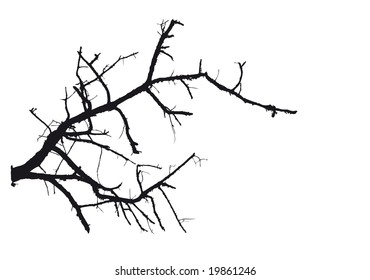 winter tree vector design