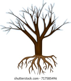 Winter tree without leaves on white background. Tree with root system