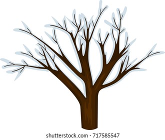 Winter tree without leaves on white background