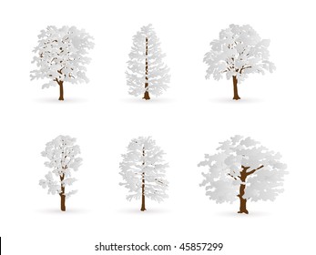 winter trees