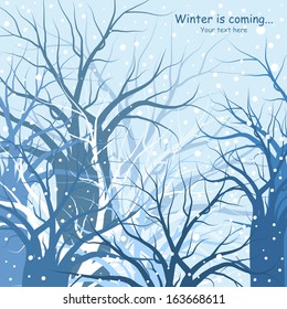 winter trees background