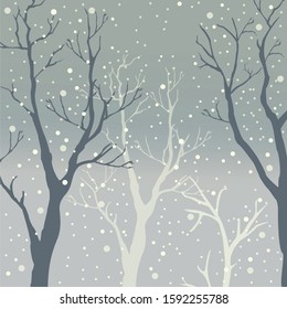 Winter Trees Background. Winter landscape with trees, snow. Snow In Forest. Vector Illustration. 