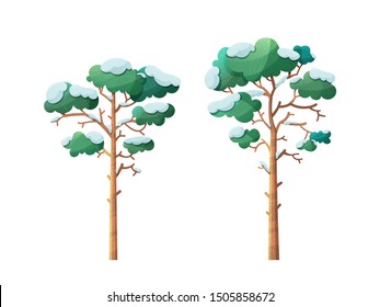 Winter trees flat vector illustrations set. Snow-capped pines isolated on white background. Evergreen forest flora covered with snow. Bare leafless trunk, green leaves. Cold season botanical cliparts