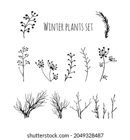 Winter trees, grass and brunches set. Vector design elements. Template of simple sketches for winter forest or garden.