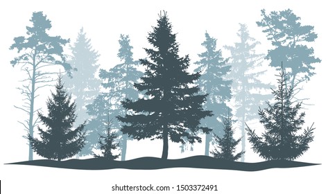 Winter Trees Silhouette. Beautiful Fir Trees And Pines. Vector Illustration.