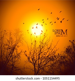 Winter trees silhouette with birds On the Sunset. Vector
