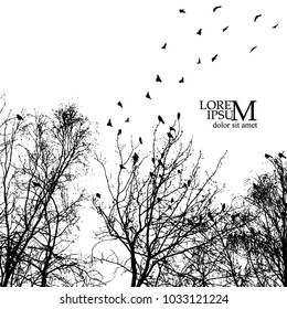 Winter trees silhouette with birds. Vector