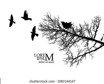 Winter trees silhouette with birds. Vector