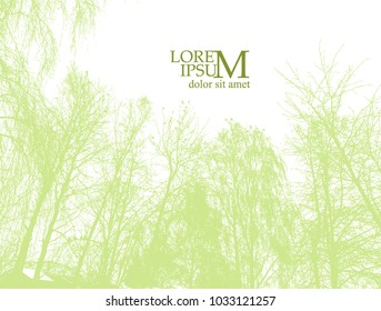 Winter trees silhouette. Vector