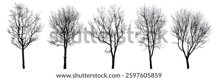 .Winter trees silhouettes collection. Set of isolated vector design elements.. Hand drawn illustration in sketch style. Nature template. Clipart