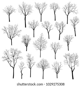 Winter trees vector set