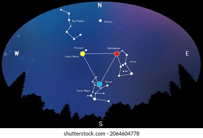 The winter triangle of the constellations that color the winter night sky seen from the forest