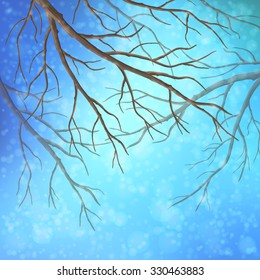 Winter vector background with bare tree branches