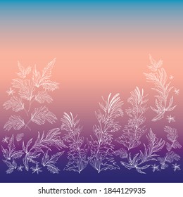 
Winter vector nature background in evening blue and pink colors with icy frozen patterns twigs, leaves and curls, floral elements, vector illustration, winter decoration, design of signboards, banner