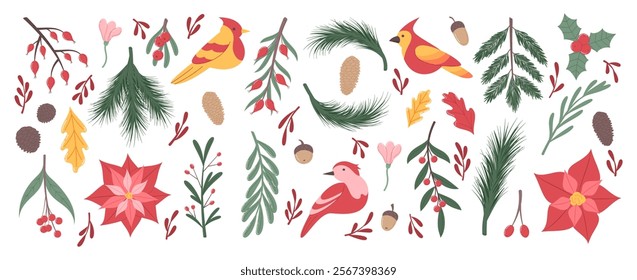 Winter watercolor flower. Decorative element bird and plant pine cone, berry. Floral Christmas, poinsettia, retro greeting. Leaves gold, garden Xmas flowers. Vector garish cartoon flat isolated set