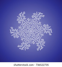 Winter white snowflake on blue background. Christmas element. Vector illustration.
