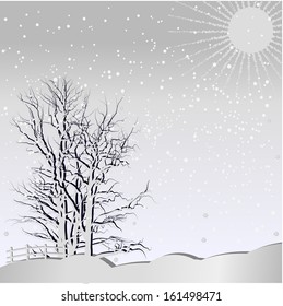 Winter in the wood