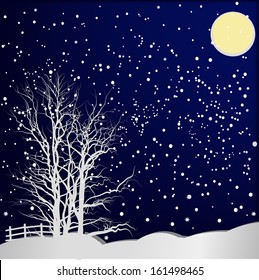 Winter in the wood in the night