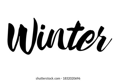 Palabra de invierno. Ilustración vectorial de texto con letras manuales Winter. Ilustración aislada del vector: caligrafía de pincel, letras a mano. Afiche inspirador de tipografía. Para calendario, postal, etiqueta y decoración