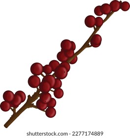 Winterberries branch christmas floral element isolated on white background. Botanical illustration for Xmas design