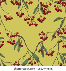 Winterberry, holly berries on branches hand drawn vector seamless pattern. Colored botanical background. Wallpaper with vintage drawing. Abstract design for prints, card, decor, wrap, fabric, textile.