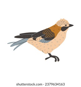 Wintering bird animal pet wildlife
