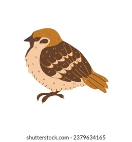 Wintering bird animal pet wildlife