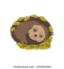 Wintering of hedgehogs. Gorgeous little hedgehog sleep. Cartoon vector illustration. Cute cartoon character.EPS10.Vector Illustration. 