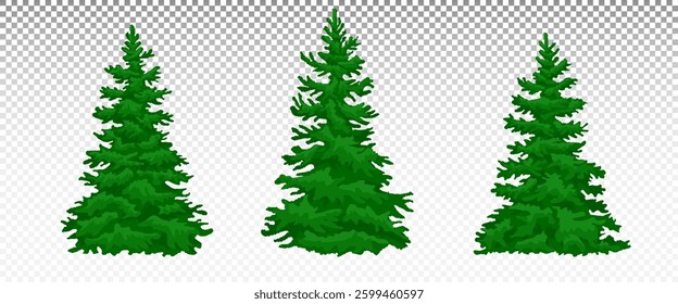 Winter.Pine tree wood. fir trees forest . Happy new year celebration. New year xmas holiday. Eps 10