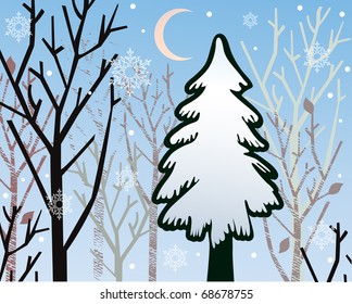 winter's night  trees moon snowfall