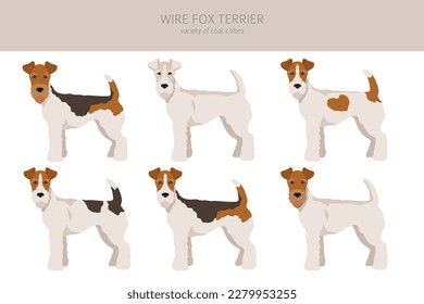 Wire Fox Terrier Clipart. Unterschiedliche Posen, Farben für die Fellfarbe.  Vektorgrafik