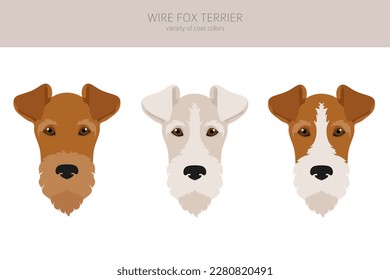 Wire fox terrier clipart. Different poses, coat colors set.  Vector illustration