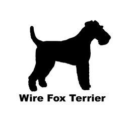 Wire Fox Terrier Dog Silhouette Dog Breeds Logo Dog Monogram Logo Dog Face Vector