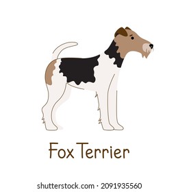 Wire fox terrier isolated on white background. Vector illustration of a pet dog