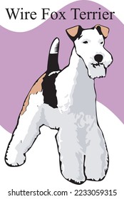Wire Fox Terrier Vector Illustration