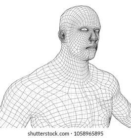 Wire frame athlete body on white background. Vector rendering of 3d. Wire-frame style. The layers of visible and invisible lines are separated