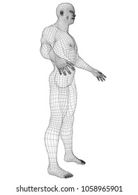 Wire frame athlete body on white background. Vector rendering of 3d. Wire-frame style. The layers of visible and invisible lines are separated