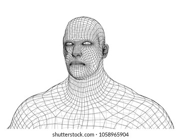 Wire frame athlete body on white background. Vector rendering of 3d. Wire-frame style. The layers of visible and invisible lines are separated