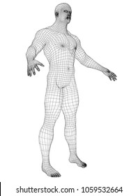 Wire frame athlete body on white background. Vector rendering of 3d. Wire-frame style. The layers of visible and invisible lines are separated
