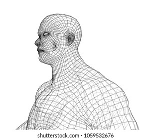 Wire frame athlete body on white background. Vector rendering of 3d. Wire-frame style. The layers of visible and invisible lines are separated