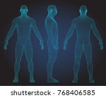 Wire frame human full body in virtual reality. Medical blue print scanned 3D model. Polygonal technology design. Front, Back, Side view